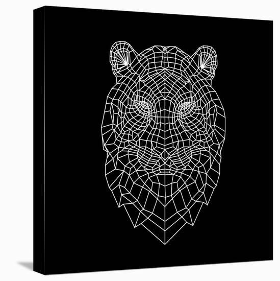 Tiger Head Mesh-Lisa Kroll-Stretched Canvas