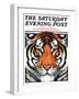 "Tiger Head," Saturday Evening Post Cover, September 18, 1926-Paul Bransom-Framed Giclee Print