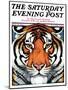 "Tiger Head," Saturday Evening Post Cover, September 18, 1926-Paul Bransom-Mounted Giclee Print