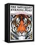 "Tiger Head," Saturday Evening Post Cover, September 18, 1926-Paul Bransom-Framed Stretched Canvas