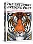 "Tiger Head," Saturday Evening Post Cover, September 18, 1926-Paul Bransom-Stretched Canvas