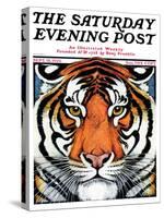 "Tiger Head," Saturday Evening Post Cover, September 18, 1926-Paul Bransom-Stretched Canvas