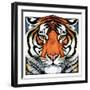 "Tiger Head,"September 18, 1926-Paul Bransom-Framed Giclee Print