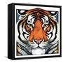 "Tiger Head,"September 18, 1926-Paul Bransom-Framed Stretched Canvas