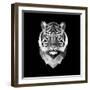 Tiger Head-Lisa Kroll-Framed Art Print