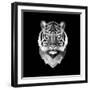 Tiger Head-Lisa Kroll-Framed Art Print