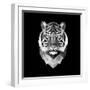 Tiger Head-Lisa Kroll-Framed Art Print