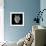 Tiger Head-Lisa Kroll-Framed Premium Giclee Print displayed on a wall