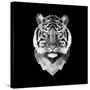 Tiger Head-Lisa Kroll-Stretched Canvas