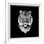 Tiger Head-Lisa Kroll-Framed Art Print