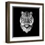 Tiger Head-Lisa Kroll-Framed Art Print