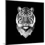 Tiger Head-Lisa Kroll-Mounted Art Print