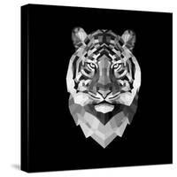 Tiger Head-Lisa Kroll-Stretched Canvas