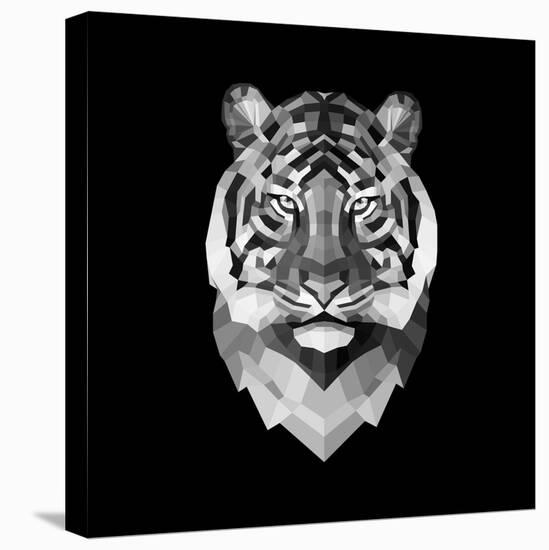 Tiger Head-Lisa Kroll-Stretched Canvas