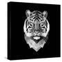 Tiger Head-Lisa Kroll-Stretched Canvas