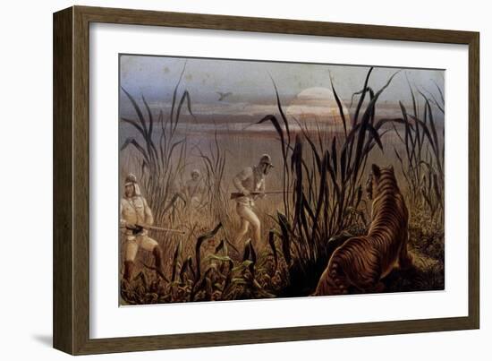 Tiger Hunt Led by the British Military, United Kingdom, 19th Century-null-Framed Giclee Print