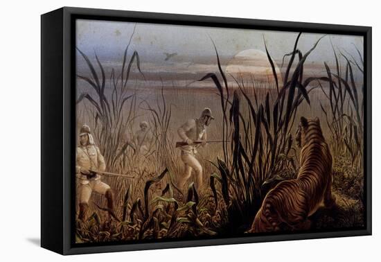 Tiger Hunt Led by the British Military, United Kingdom, 19th Century-null-Framed Stretched Canvas