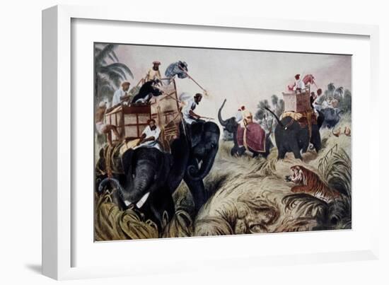 Tiger Hunt with Elephants, India, 19th Century-null-Framed Giclee Print