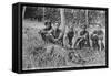 Tiger Hunters, Tonkin, Vietnam, 20th Century-null-Framed Stretched Canvas
