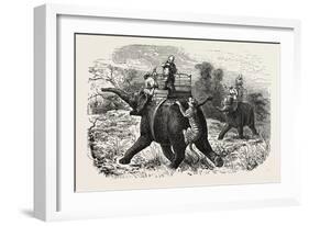 Tiger Hunting with Elephants in India-null-Framed Giclee Print