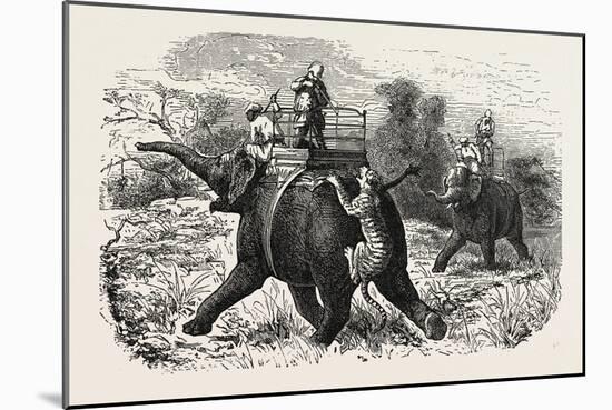 Tiger Hunting with Elephants in India-null-Mounted Giclee Print