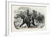 Tiger Hunting with Elephants in India-null-Framed Giclee Print