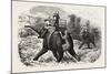 Tiger Hunting with Elephants in India-null-Mounted Giclee Print