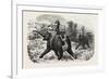 Tiger Hunting with Elephants in India-null-Framed Giclee Print
