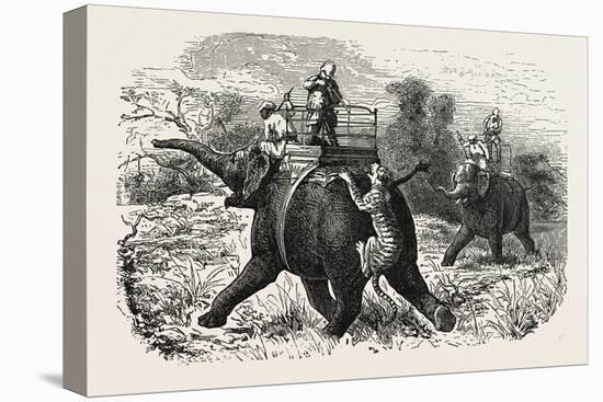 Tiger Hunting with Elephants in India-null-Stretched Canvas