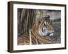 Tiger HZ 17 1-Robert Michaud-Framed Giclee Print