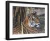 Tiger HZ 17 1-Robert Michaud-Framed Giclee Print