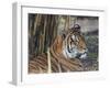 Tiger HZ 17 1-Robert Michaud-Framed Giclee Print