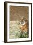 Tiger I-Karyn Millet-Framed Photographic Print