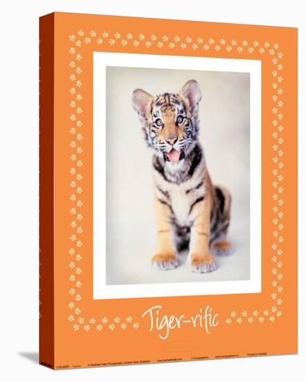 Tiger-Ific-Rachael Hale-Stretched Canvas