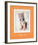 Tiger-Ific-Rachael Hale-Framed Art Print