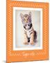 Tiger-Ific-Rachael Hale-Mounted Art Print