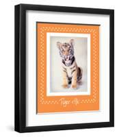 Tiger-Ific-Rachael Hale-Framed Art Print