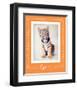 Tiger-Ific-Rachael Hale-Framed Art Print