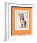 Tiger-Ific-Rachael Hale-Framed Art Print