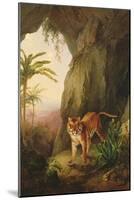 Tiger in a Cave, C.1814-Jacques-Laurent Agasse-Mounted Giclee Print