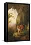 Tiger in a Cave, C.1814-Jacques-Laurent Agasse-Framed Stretched Canvas