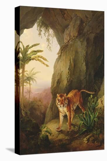 Tiger in a Cave, C.1814-Jacques-Laurent Agasse-Stretched Canvas