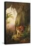 Tiger in a Cave, C.1814-Jacques-Laurent Agasse-Framed Stretched Canvas