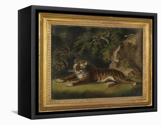 Tiger in a Jungle Landscape-Benjamin Zobel-Framed Stretched Canvas