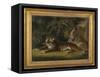 Tiger in a Jungle Landscape-Benjamin Zobel-Framed Stretched Canvas