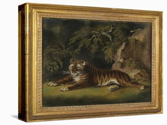 Tiger in a Jungle Landscape-Benjamin Zobel-Stretched Canvas