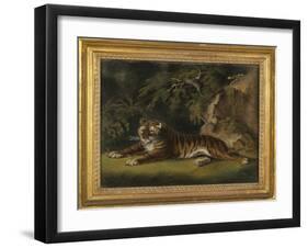 Tiger in a Jungle Landscape-Benjamin Zobel-Framed Giclee Print