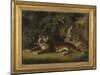 Tiger in a Jungle Landscape-Benjamin Zobel-Mounted Giclee Print