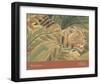 Tiger in a Tropical Storm (Surprised!), 1891 (detail)-Henri Rousseau-Framed Art Print