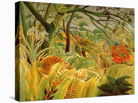 Tiger in a Tropical Storm (Surprised!) 1891-Henri Rousseau-Stretched Canvas